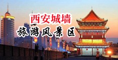 美女操菊花一级毛片中国陕西-西安城墙旅游风景区
